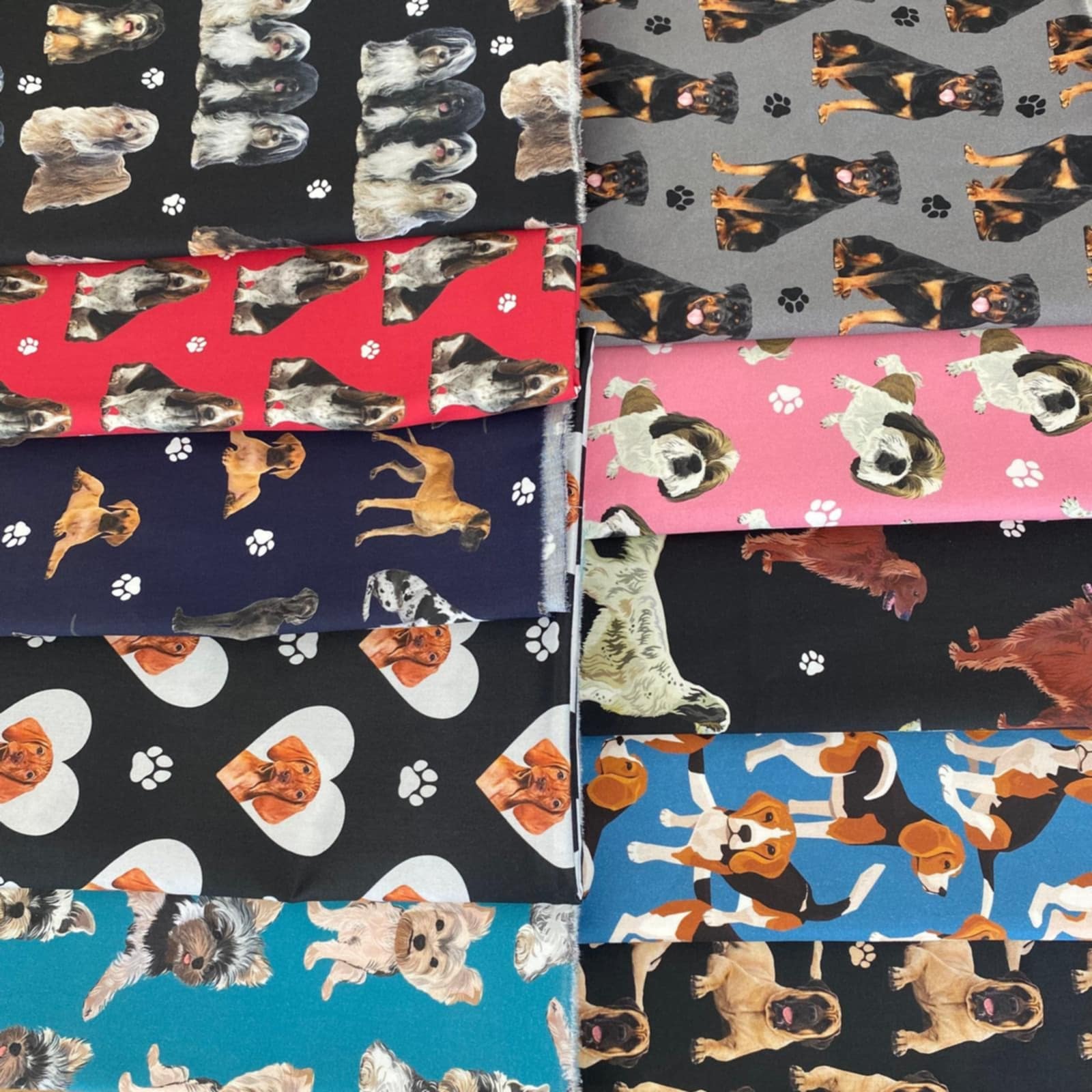 LIMITED EDITION Mixed Dog Breeds Half Metre Bundle (Dog Bundle)