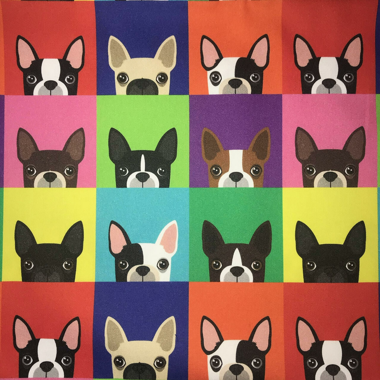 Quirky Cottons Rainbow Squares Small Dog Breed Multi-Coloured Remnant (36cm x 156cm QC Boston Terrier)