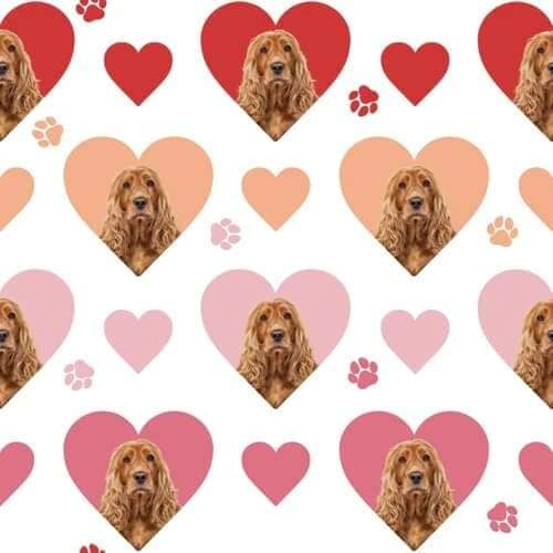 Quirky Cottons Paw Prints Hearts Dog Breed Animal White Remnant (35cm x 156cm QC Cocker Spaniel)