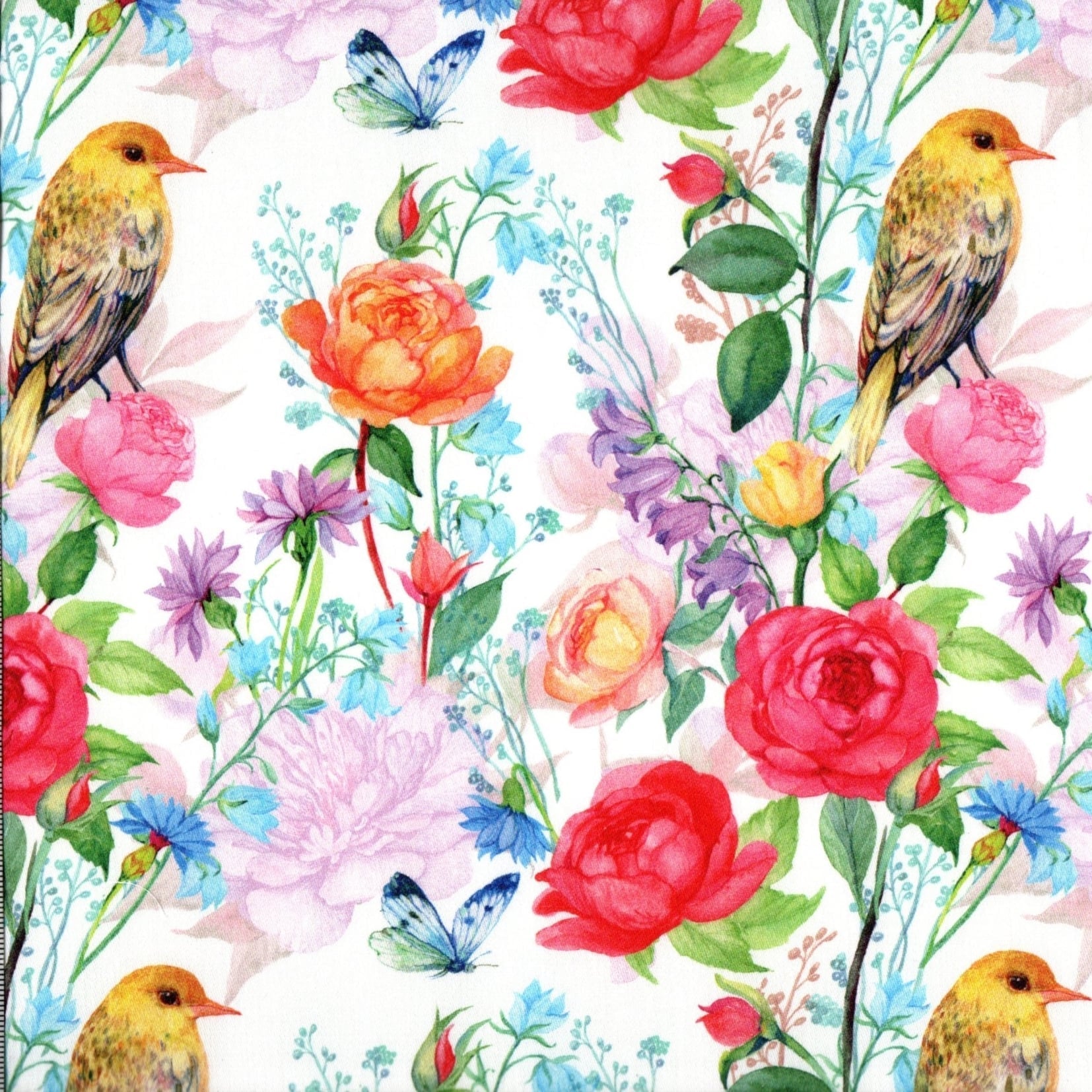 PRE-ORDER Quirky Cotton Birds Flowers Roses Butterflies Floral Animals White (PRE-ORDER QC Nature's Garden)