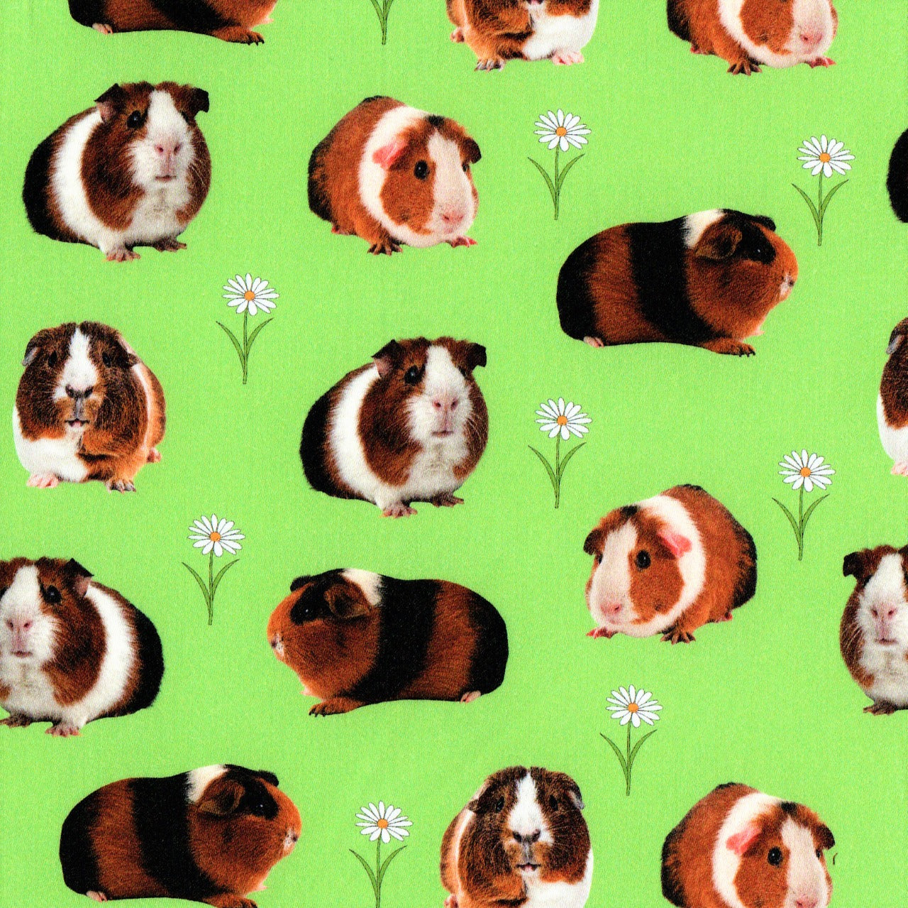 Quirky Cottons Cute Guinea Pigs Daisies Green Remnant (49cm x 156cm QC Guinea Pigs)