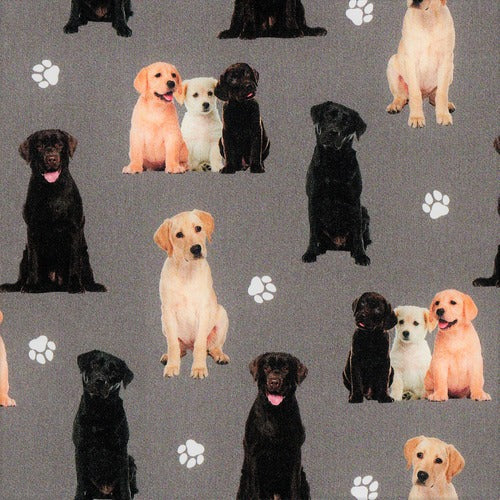 Quirky Cottons Labs Puppies Retriever Dog Breed Paw Prints Grey (QC Labradors- 1 METRE PIECE)