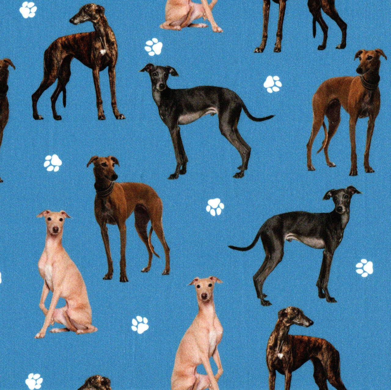 Quirky Cottons Dog Breed Greyhound Racing Dog Paw Prints Blue Remnant (22cm x 105cm QC Greyhounds)