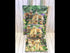 Timeless Treasures Golden Retriever Dog Animal Park Green (TT Howl You Doing? 1)