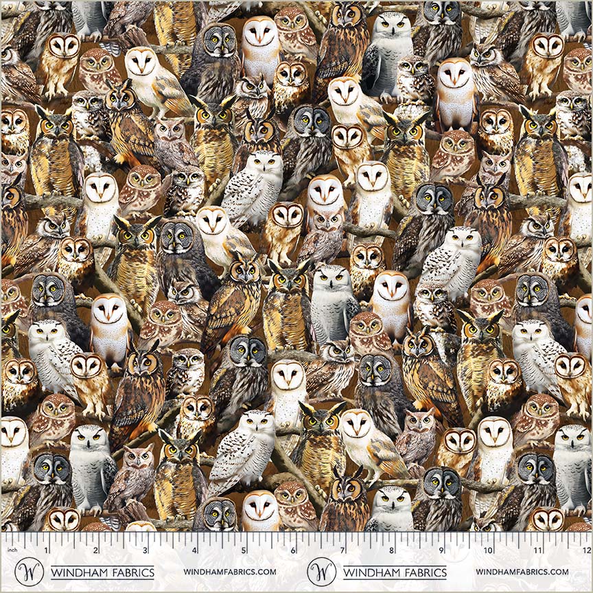 Windham Fabrics 55032D-1 Multi 100% Cotton Fabric – Owl Quilting & Craft Material (Windham Wildlife 2)