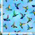 Timeless Treasures BIRD-CD3904 Flying Hummingbirds Blue Cotton FAULTY Remnant (62cm x 112cm TT Hacienda 1)