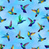 Timeless Treasures BIRD-CD3904 Flying Hummingbirds Blue Cotton FAULTY Remnant (62cm x 112cm TT Hacienda 1)