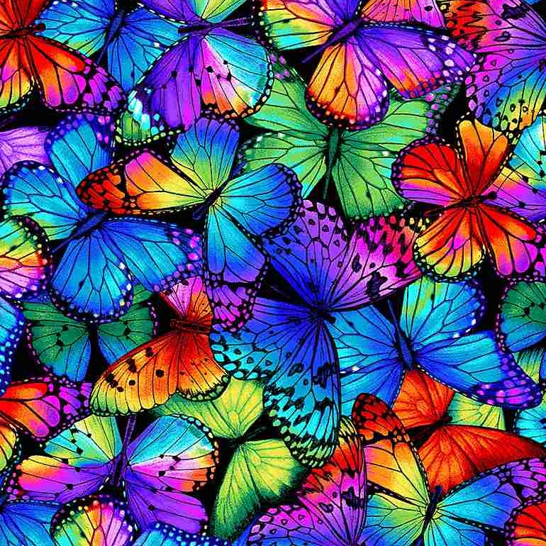 Timeless Treasures Packed Multi Bright Butterflies Multi-Coloured Remnant (43cm x 112cm TT Butterfly Magic 2)