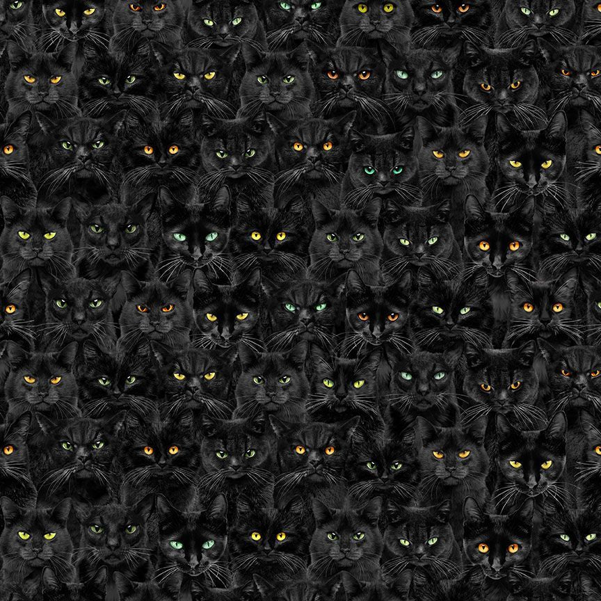 Timeless Treasures Wicked Black Cats Magic Black Remnant (34cm x 112cm TT Wicked 3)