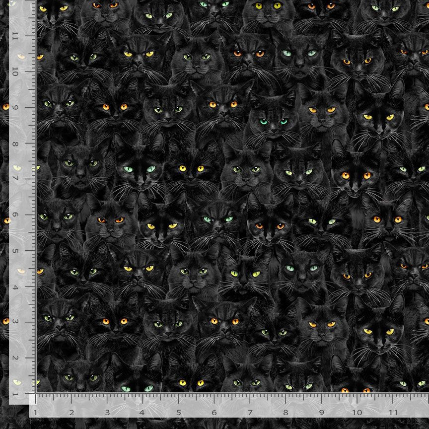 Timeless Treasures Wicked Black Cats Magic Black Remnant (34cm x 112cm TT Wicked 3)