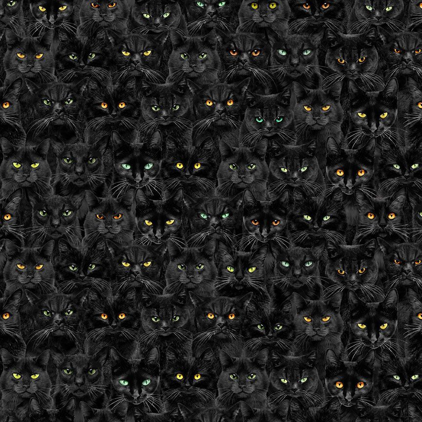 Timeless Treasures CAT-CD3181 Black Wicked Cat Eyes Spooky Halloween Magic 100% Cotton Fabric – Novelty Black Cat Print Quilting Cotton for Sewing & Crafts (TT Wicked 3)