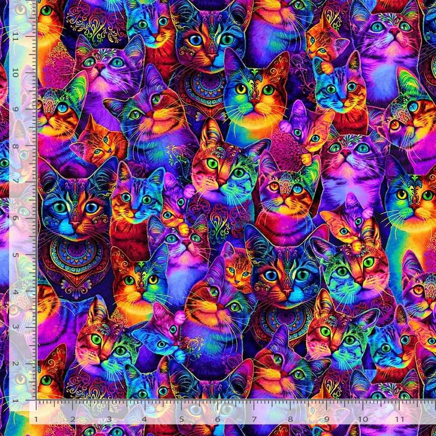 Timeless Treasures Packed Rainbow Cats Faces Eyes Animal Pets Multi-Coloured (TT Wildcat 1)