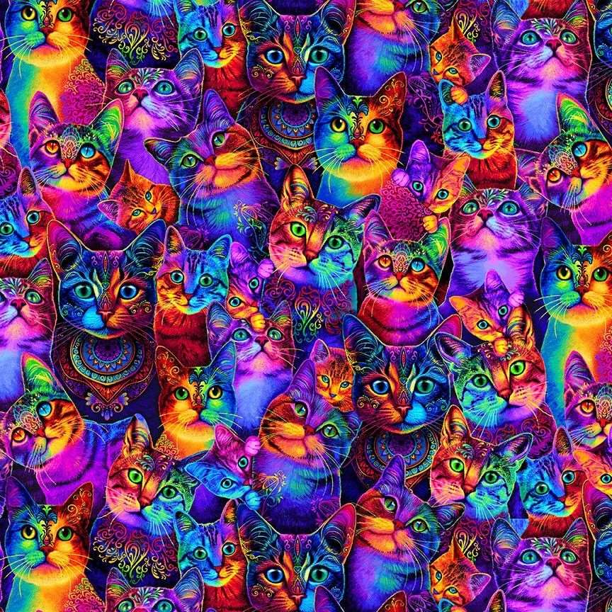 Timeless Treasures Packed Rainbow Cats Faces Eyes Animal Pets Multi-Coloured (TT Wildcat 1)