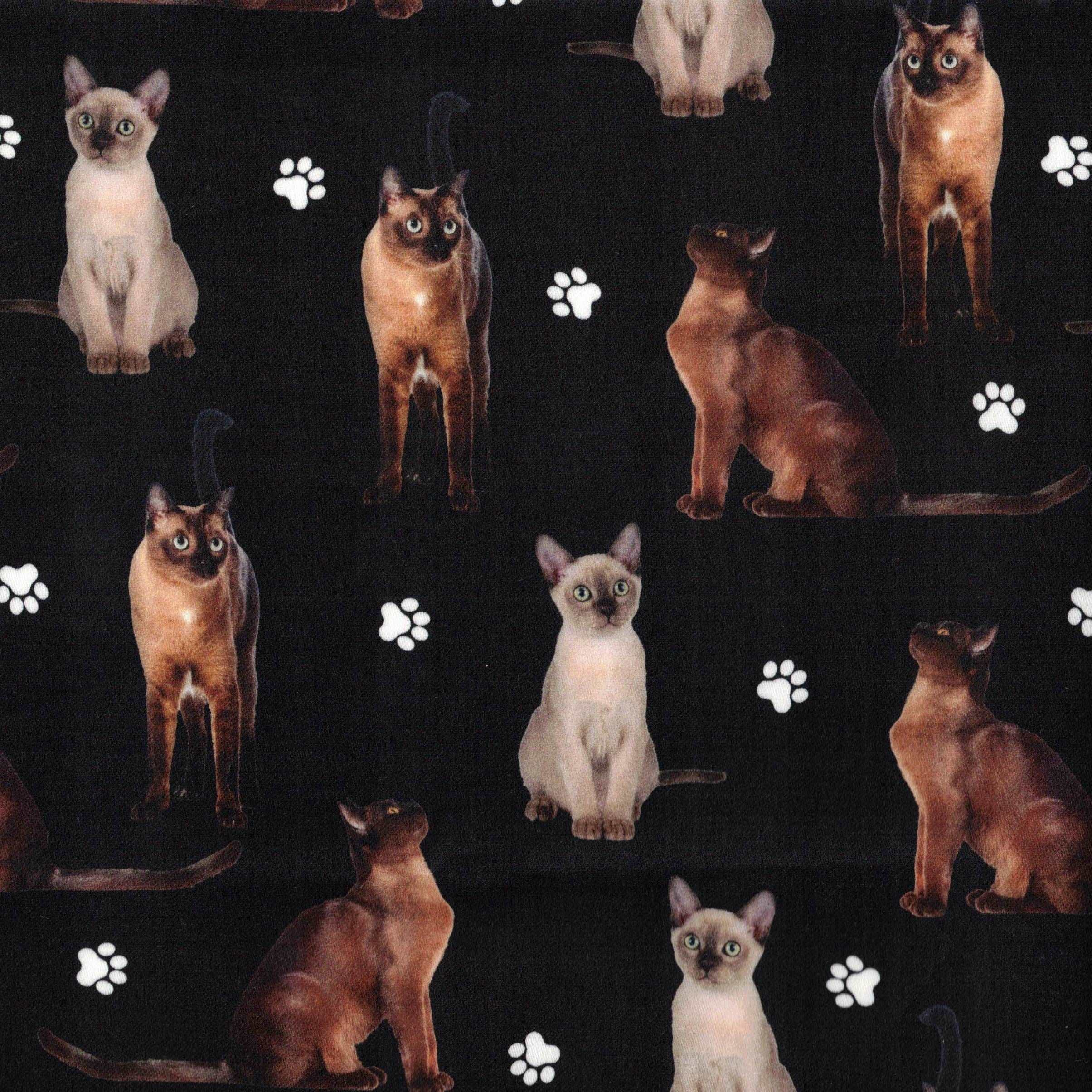 Quirky Cottons Feline Cat Breed Burmese Pet Black (QC Burmese Cat- 1 METRE PIECE)