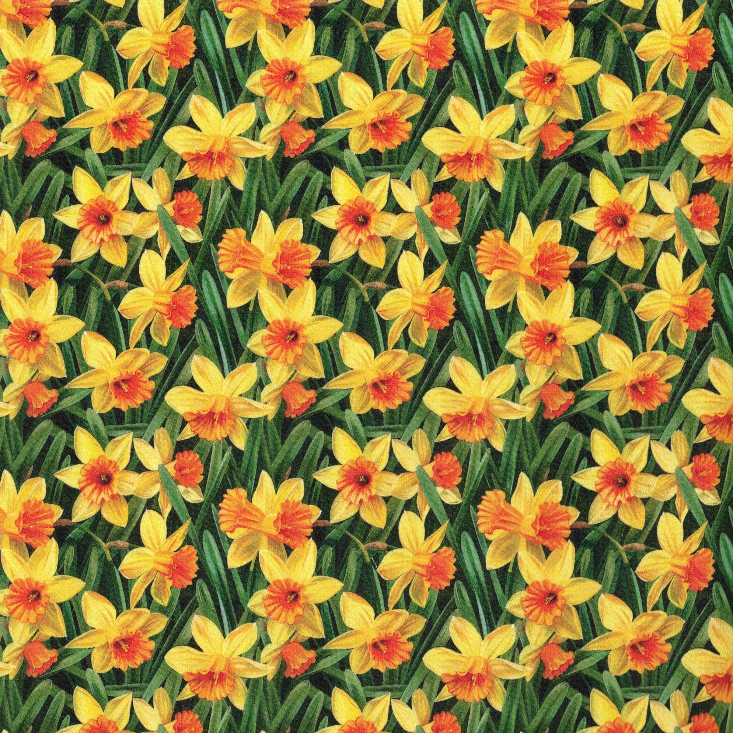 PREORDER Quirky Cottons Yellow Flowers Nature Spring Floral Green (PREORDER QC Daffodils)