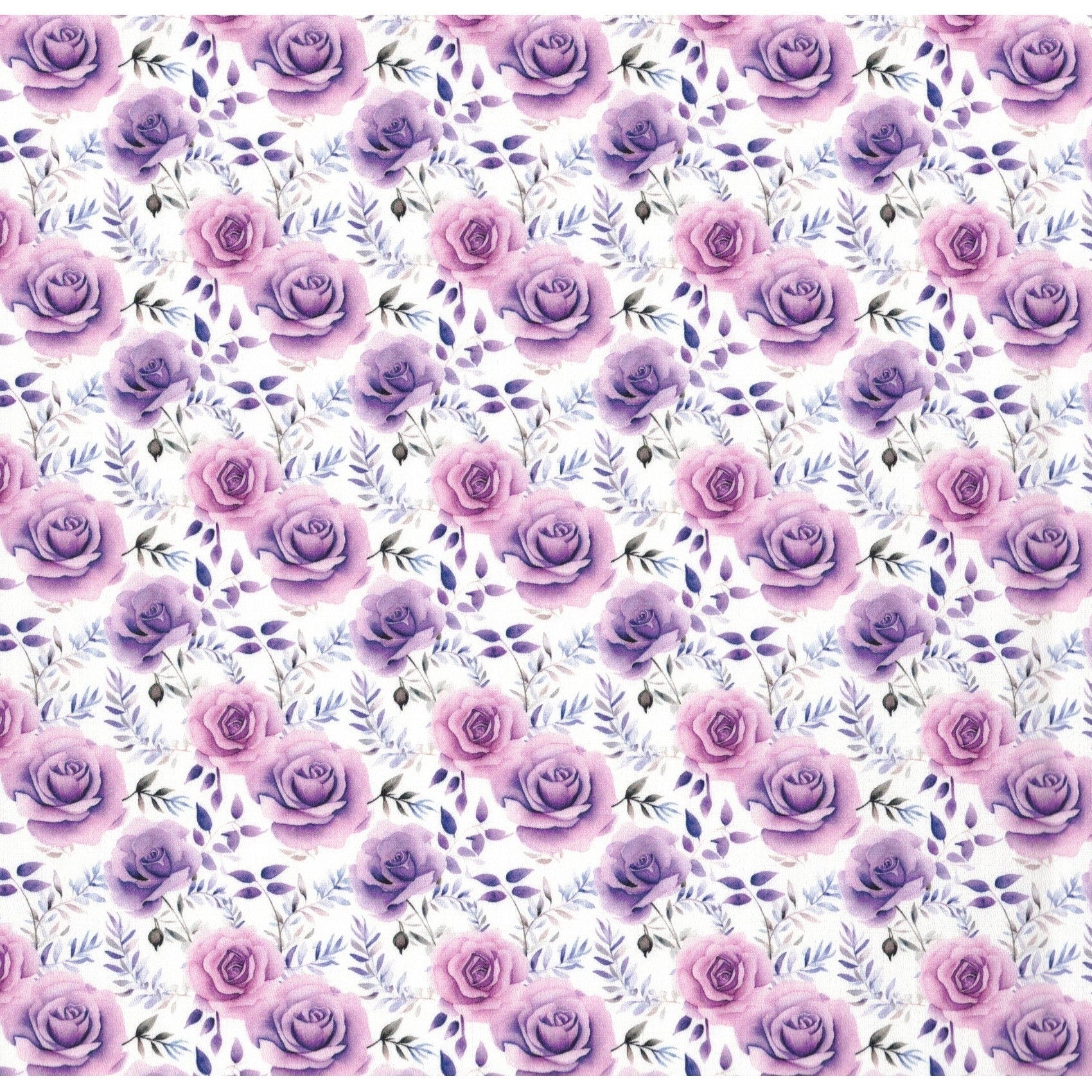 Pattern of purple roses on a white background