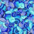 Timeless Treasures Packed Metallic Butterfly Wings Blue (TT Escapade 4)