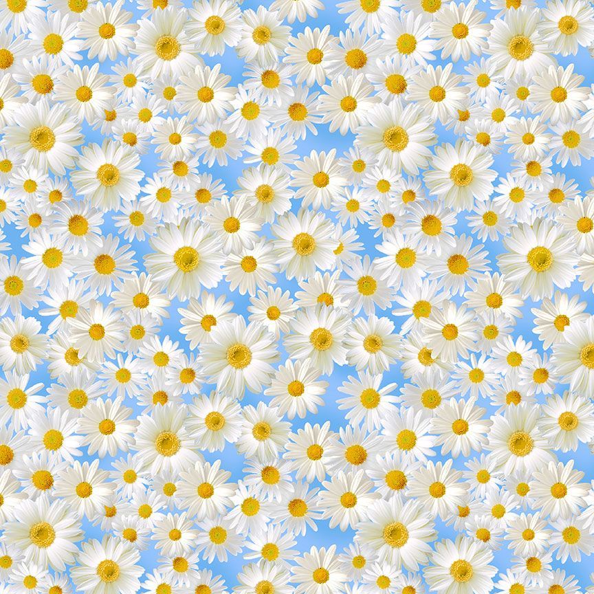 Timeless Treasures Daisies Flowers In The Blue Sky Blue Remnant (31cm x 112cm TT Wildflower 1)