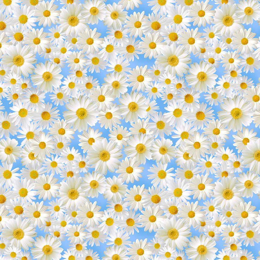 Timeless Treasures Daisies Flowers In The Blue Sky Blue Remnant (47cm x 112cm TT Wildflower 1)