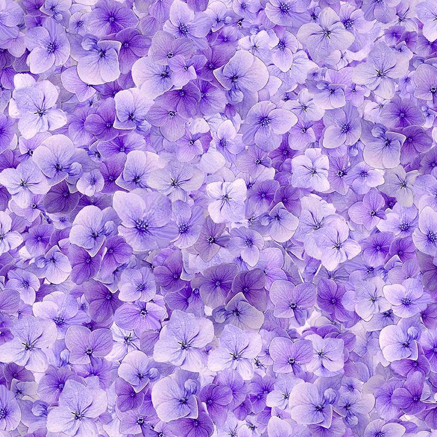 Timeless Treasures Viola Floral Packed Hydrangeas Pretty Purple Flowers Bouquet Nature (TT Garden Delight 5)