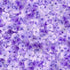 Timeless Treasures Viola Floral Packed Hydrangeas Pretty Purple Flowers Bouquet Nature (TT Garden Delight 5)