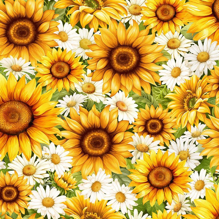 Timeless Treasures 100% Cotton Fabric Packed Daisies & Sunflowers Remnant (38cm x 112cm TT You Are My Sunshine 3)