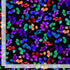 Timeless Treasures FLEUR-CD3903 Black Leaf Quilting Cotton Fabric Remnant (38cm x 112cm TT Hacienda 4)