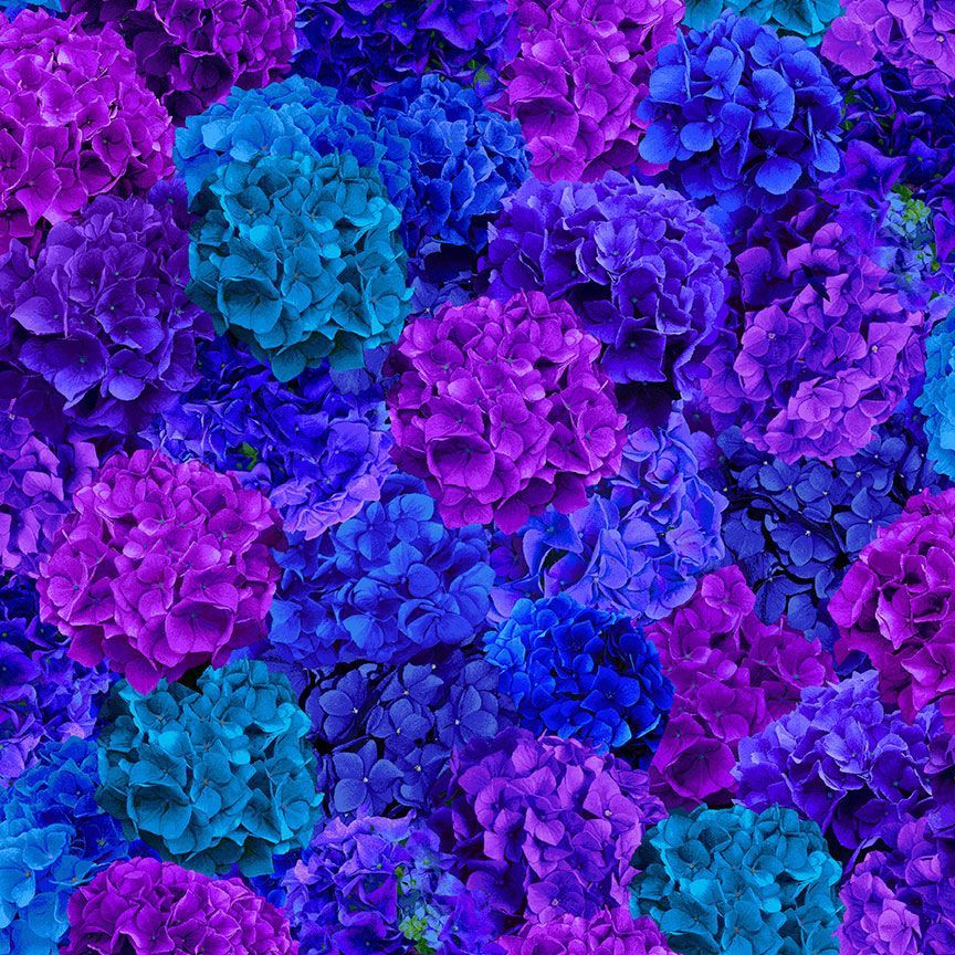 Timeless Treasures Packed Hydrangea Florals Floral Nature Blue Purple Remnant (40cm x 112cm TT Midnight Bloom 5)