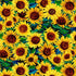 Timeless Treasures FLORA CD3531 Sunflower Painted Sunflower 100% Cotton Fabric | Quilting, Dressmaking & Craft Fabric (TT Sunflower Symphony 1)