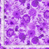 Timeless Treasures FLORA-CD4054 Purple Floral Quilting Cotton Remnant (30cm x 112cm TT Living Color 4)
