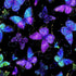 Timeless Treasures Evening Glow FLORA CM4102 JET 100% Cotton Fabric – Black Metallic Butterflies | Quilting, Dressmaking & Craft Fabric (TT Evening Glow 2)