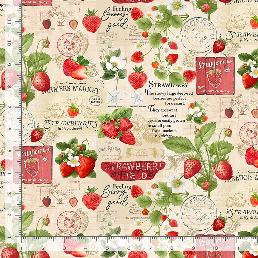 Timeless Treasures Strawberries Market Fruit Collage Beige (TT Berry Sweet 1)