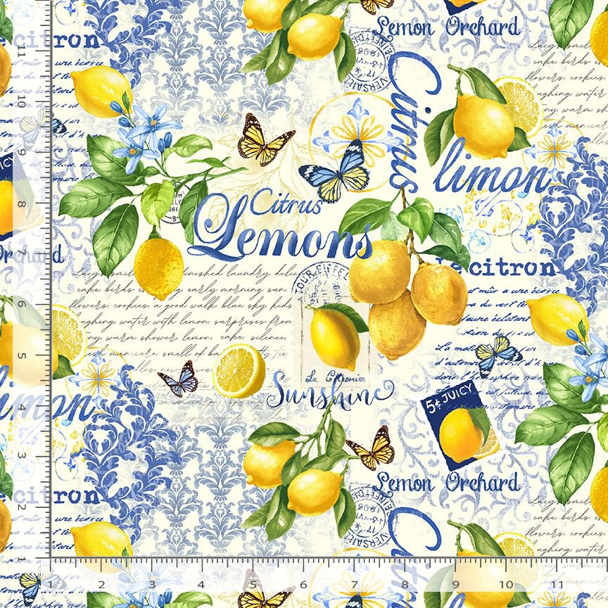 Timeless Treasures Lemon Fruit Food Collage Remnant (24cm x 112cm TT Limoncello 2)