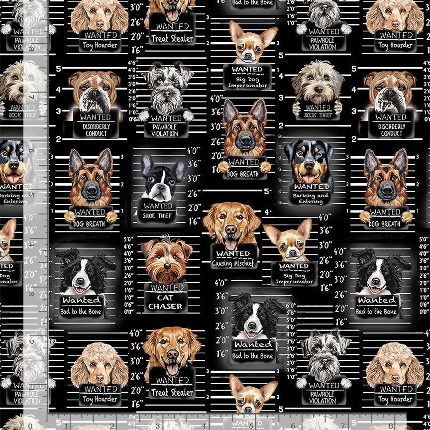 Timeless Treasures GAIL-CD3888 Black Novelty Dog Jail Mugshot Quilting Cotton Fabric (TT Dog's Rule 1)