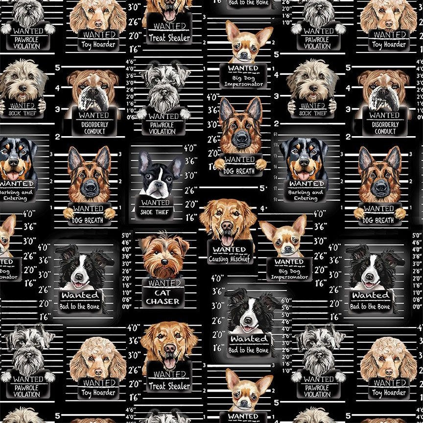 Timeless Treasures GAIL-CD3888 Black Novelty Dog Jail Mugshot Quilting Cotton Fabric Remnant (40cm x 112cm TT Dog's Rule 1)