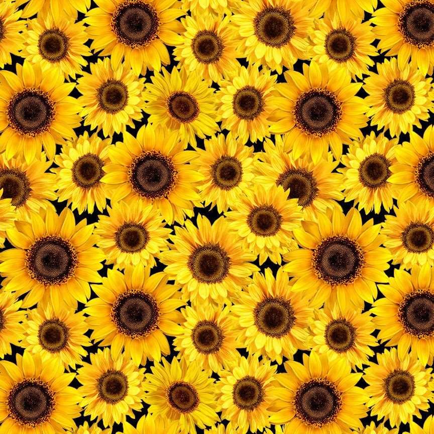 Timeless Treasures 100% Cotton Fabric Packed Metallic Sunflowers Flowers Autumn Nature Yellow (TT Fall Is In The Air 2)