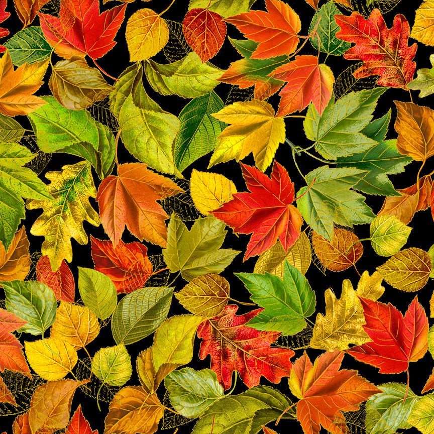 Timeless Treasures 100% Cotton Fabric Packed Metallic Fall Leaves Autumn Nature Black (TT Fall Is In The Air 3)