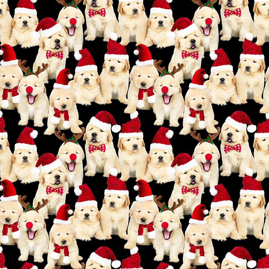 Timeless Treasures Cute Labrador Puppies Dog Christmas Santa Hat Black (TT Holiday Favourites 1)