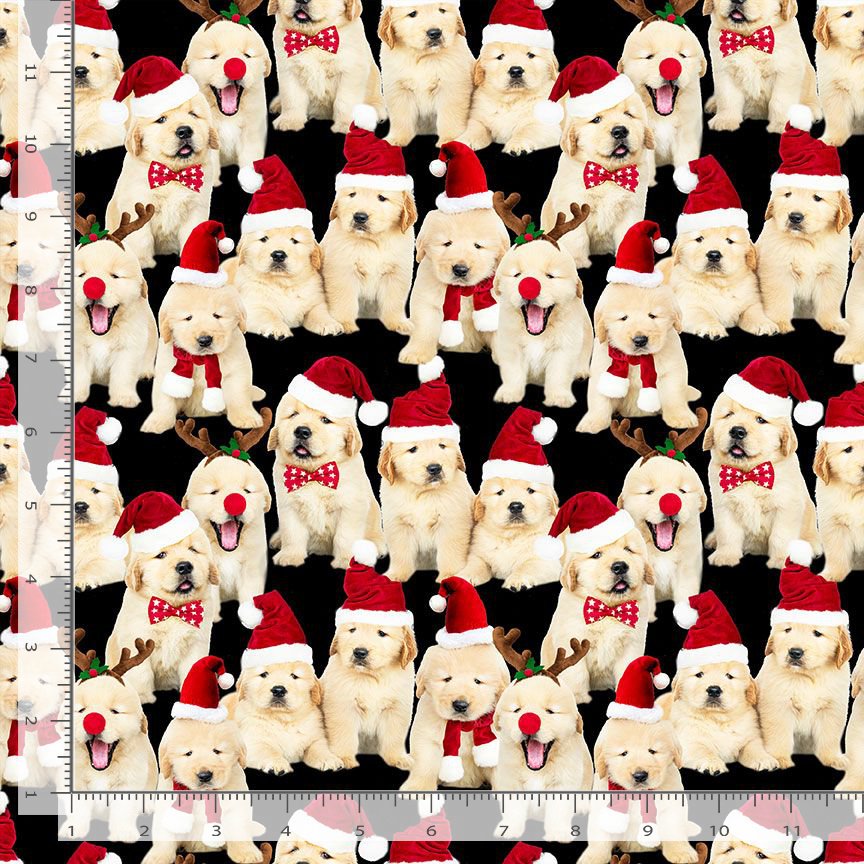 Timeless Treasures Cute Labrador Puppies Dog Christmas Santa Hat Black (TT Holiday Favourites 1)