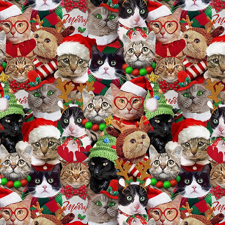 Timeless Treasures Packed Holiday Cats Portrait Dressing Up Christmas Santa Hat Black (TT Holiday Favourites 2)