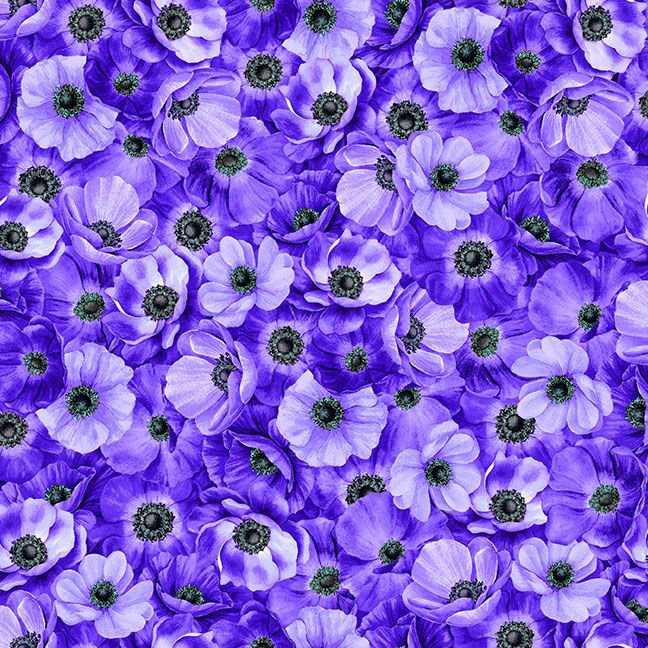 Purple anemone floral cotton quilting fabric MEADOW-CD3953 by Timeless Treasures