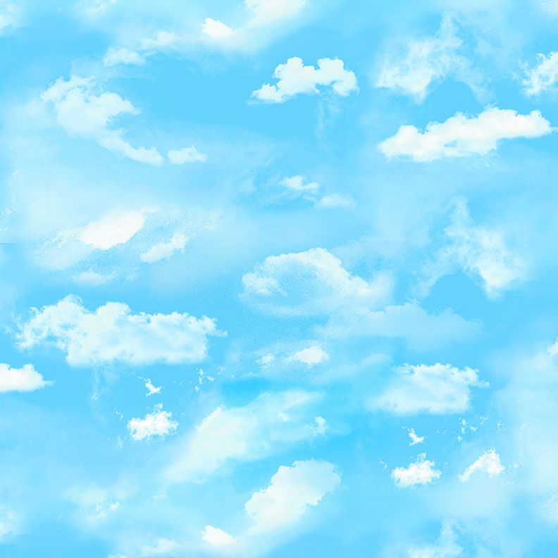 Timeless Treasures MEADOW CD3958 Blue Sky & Cloud 100% Cotton Fabric – Scenic Quilting Cotton for Sewing & Crafts (TT Meadow Bloom 9)