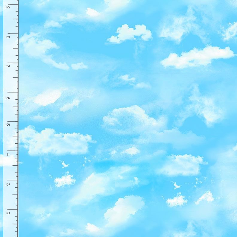Timeless Treasures MEADOW CD3958 Blue Sky & Cloud 100% Cotton Fabric – Scenic Quilting Cotton for Sewing & Crafts (TT Meadow Bloom 9)
