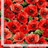 Timeless Treasures Large Poppy Floral Black Remnant (72cm x 112cm TT Poppy Passion 1)