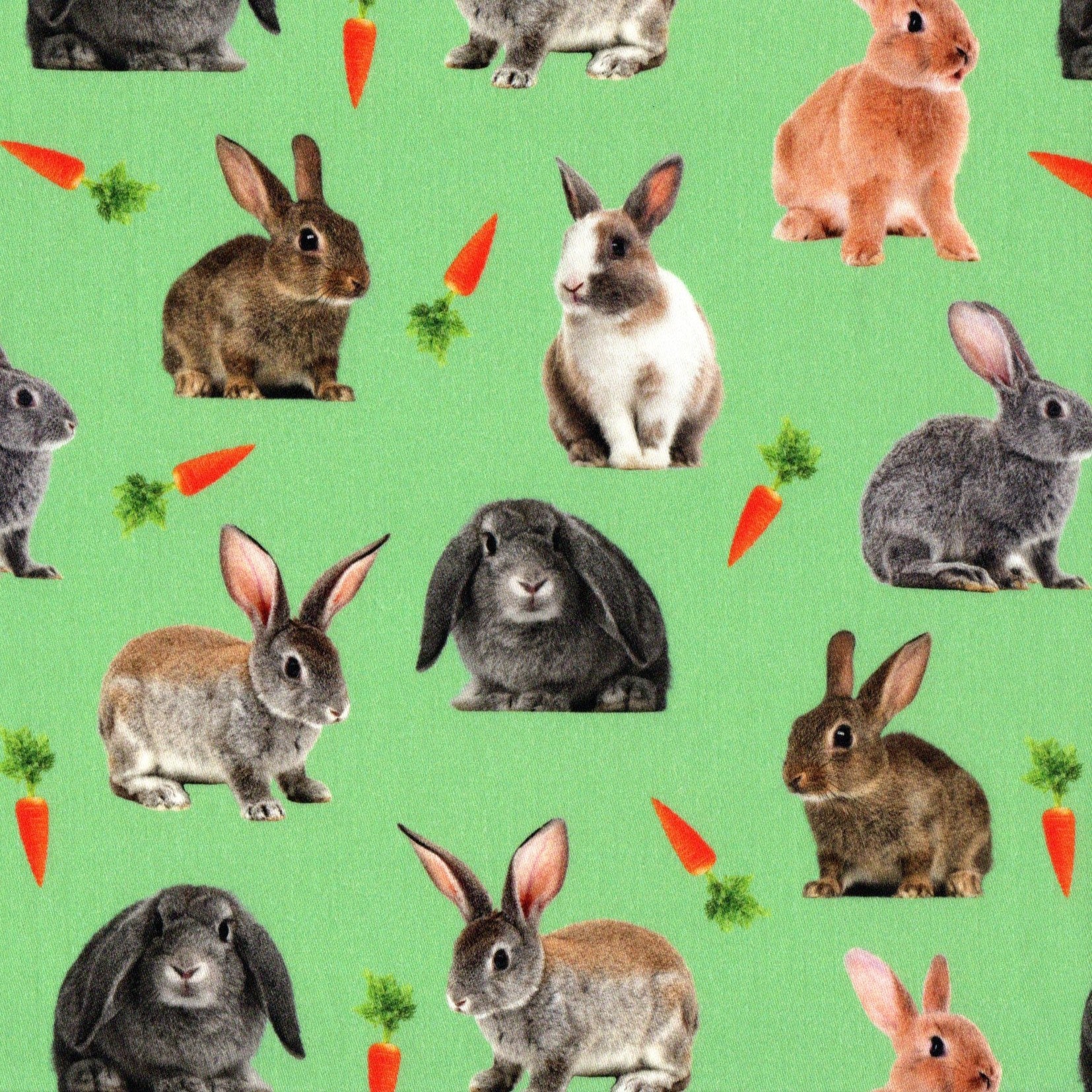 Quirky Cottons Cute Bunny Rabbits Carrots Green (QC Bunny Rabbits-1 ME