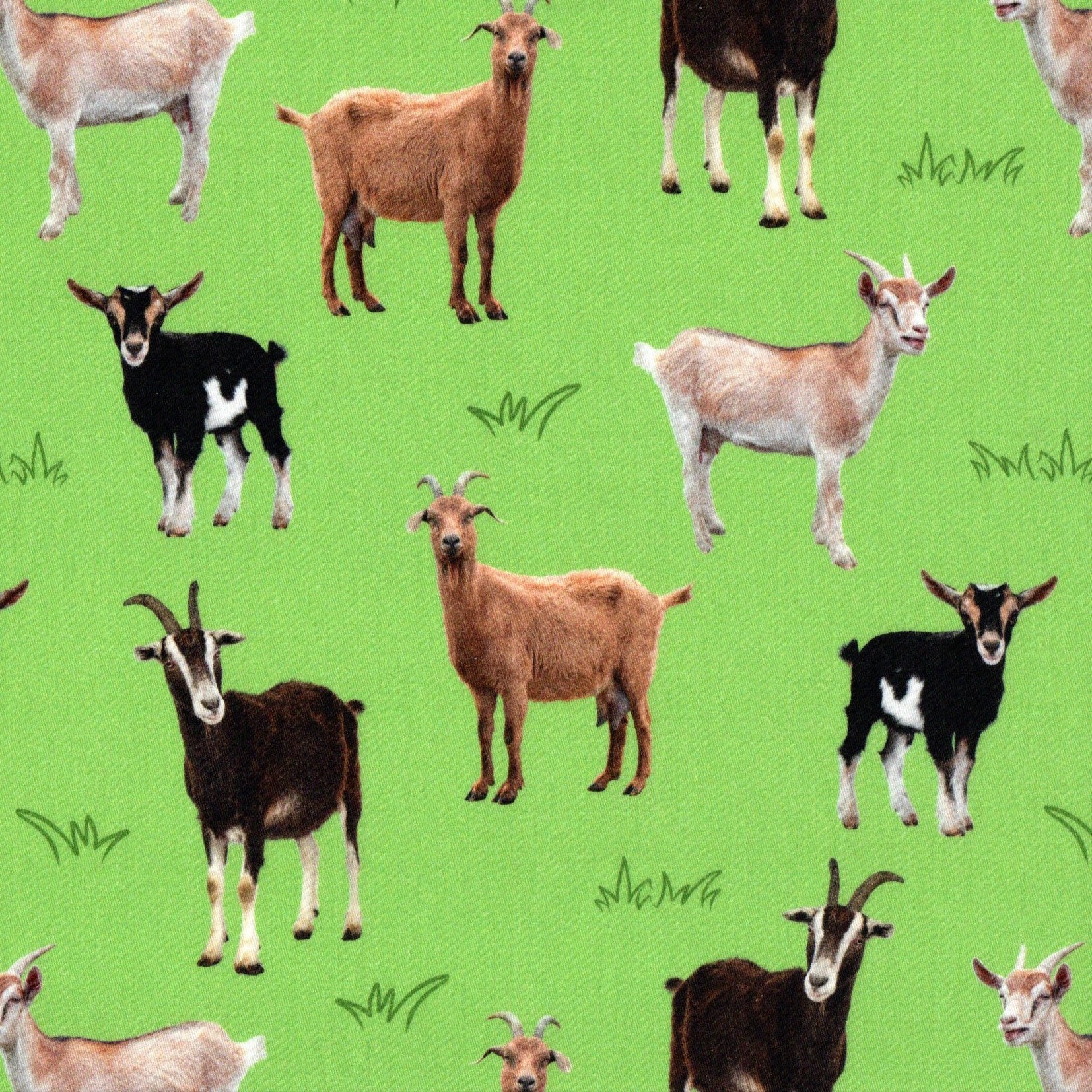 Quirky Cottons Billy Goats Animals Green Remnant (66cm x 116cm QC Goats)