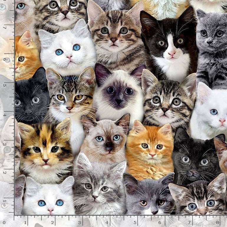 Timeless Treasures Packed Mixed Breeds Cats Multi-Coloured Remnant (36cm x 112cm TT Cat Lady)
