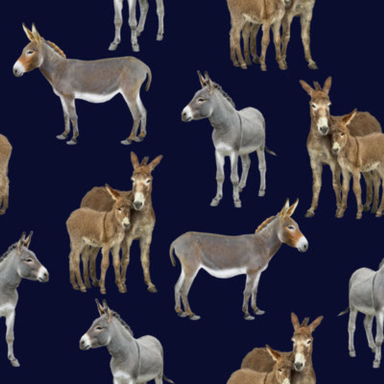 Quirky Cottons Donkey Foal Animal Navy Remnant (61cm x 71cm QC Donkeys)