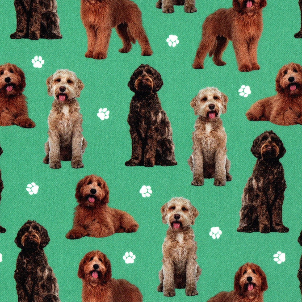 Quirky Cottons Labradoodles Breed Designer Dog Crossbreed Family Pet Green Remnant (53cm x 156cm QC Labradoodle)
