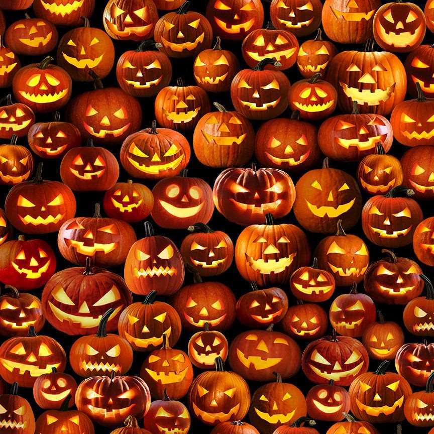 Timeless Treasures 100% Cotton Fabric Halloween Packed Pumpkins Orange (TT All Hollow's Eve 2)